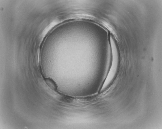 X0000088131275200705291324