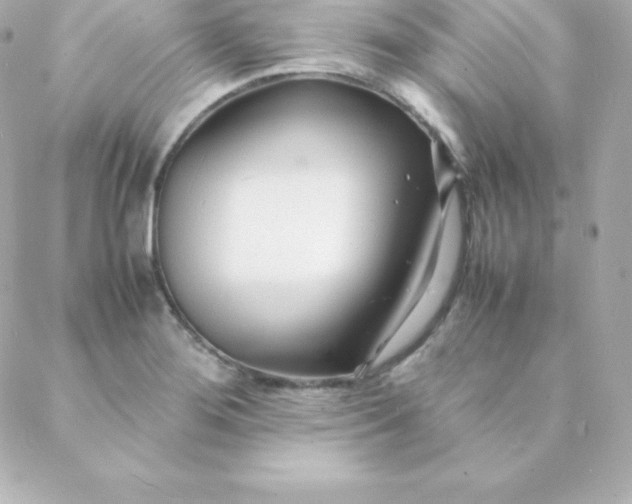 X0000088131276200705291324