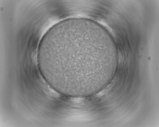 X0000088131278200705291324