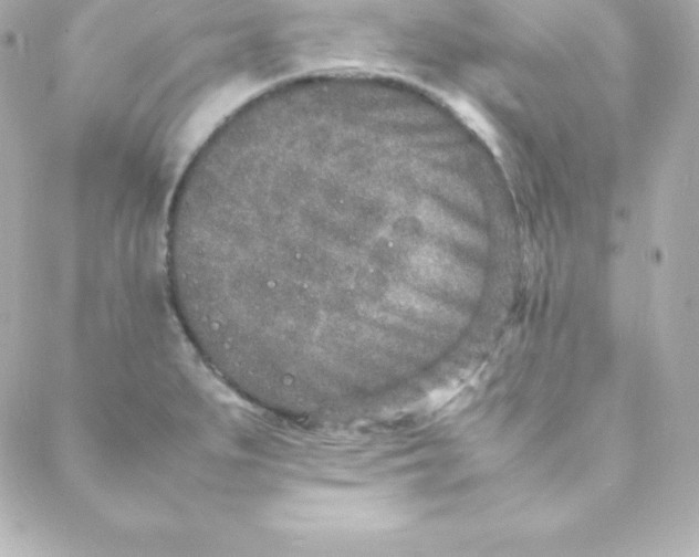 X0000088131279200705291324