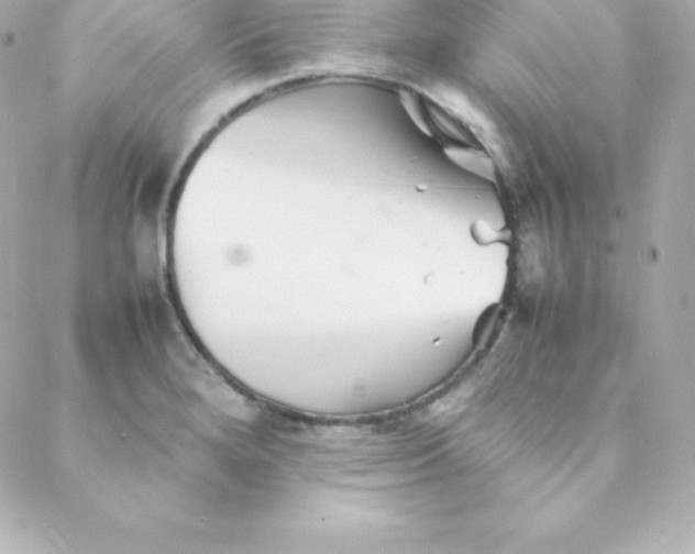 X0000088131280200705291324