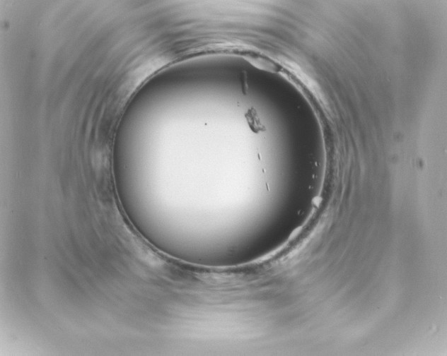 X0000088131281200705291324