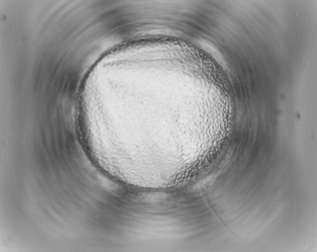 X0000088131282200705291324