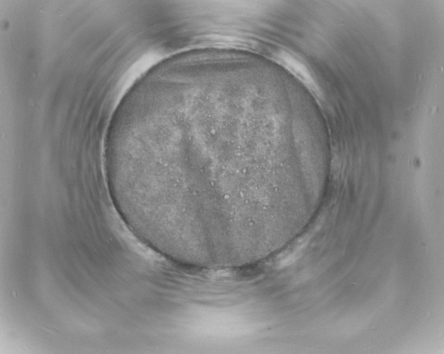 X0000088131283200705291324