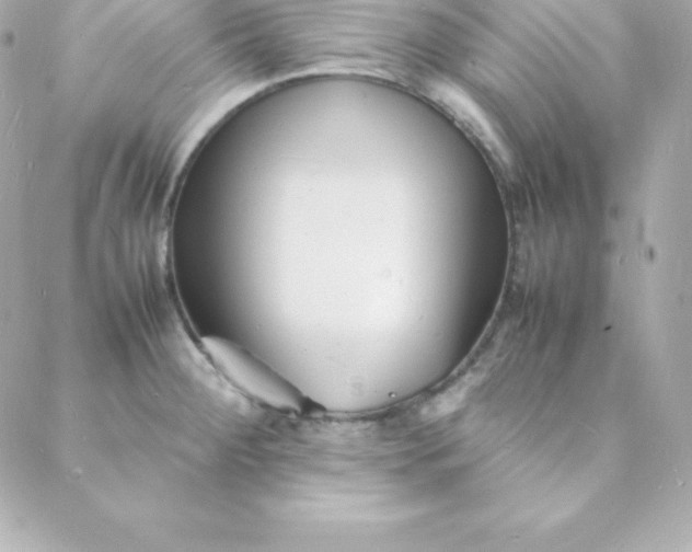 X0000088131284200705291324