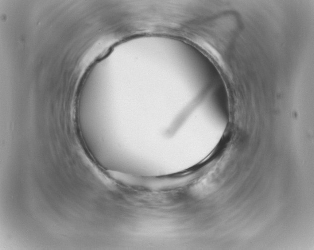 X0000088131285200705291324