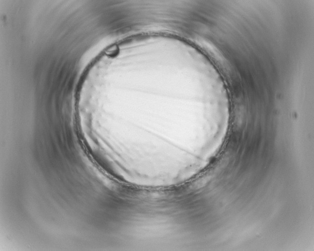 X0000088131286200705291324