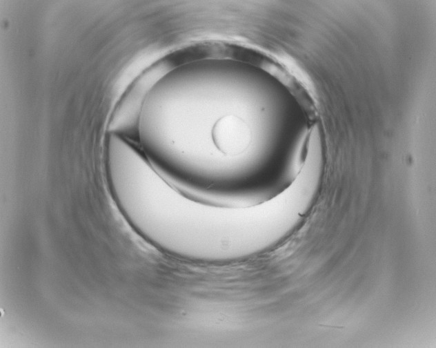 X0000088131287200705291324