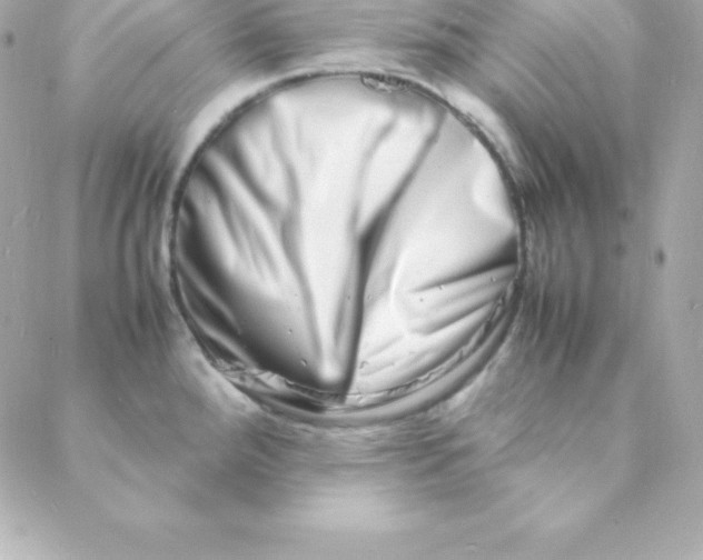 X0000088131288200705291324