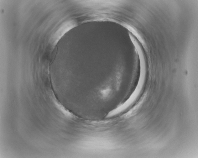 X0000088131289200705291324