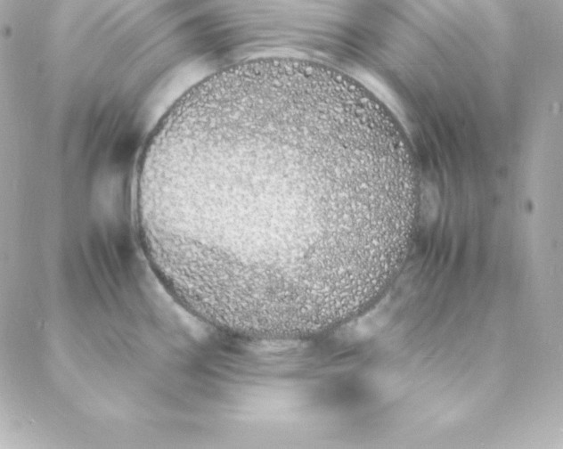 X0000088131290200705291323