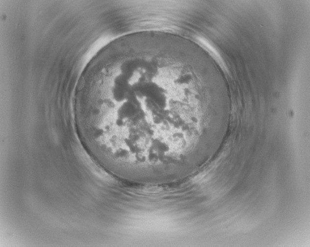 X0000088131291200705291323