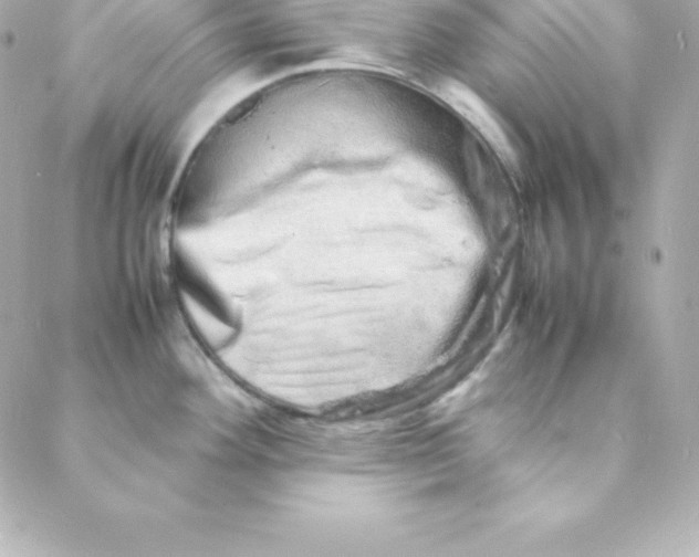 X0000088131292200705291323