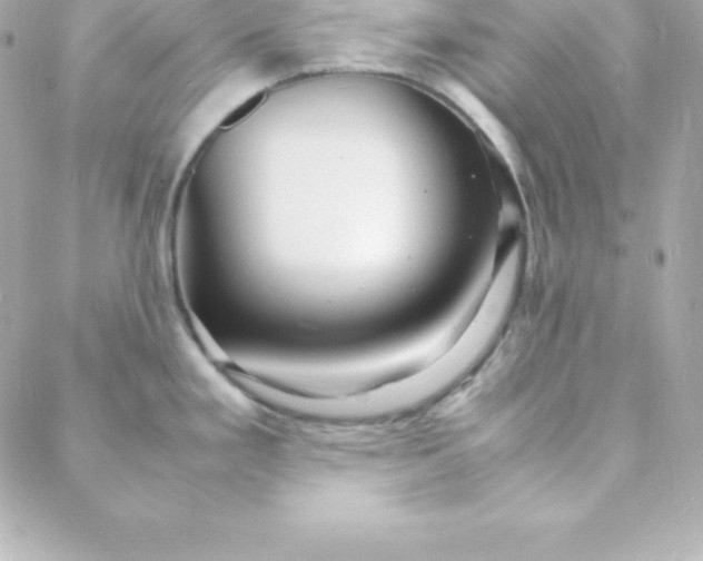 X0000088131293200705291323