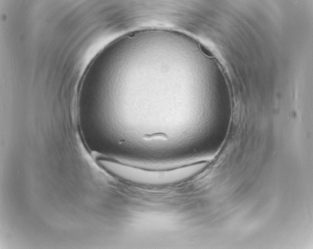 X0000088131295200705291323