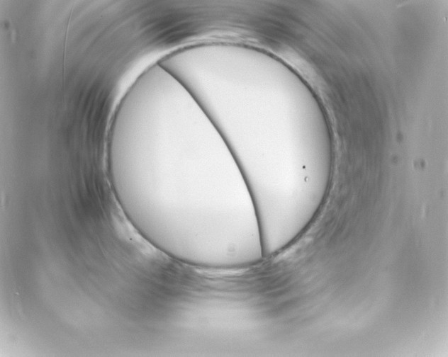 X0000088131296200705291323