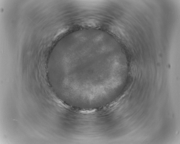 X0000088131297200705291323