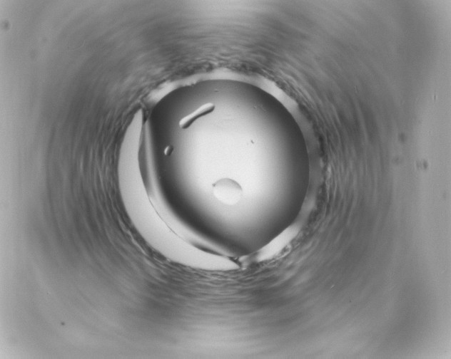 X0000088131298200705291323