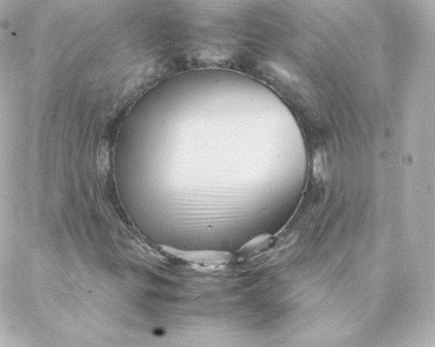 X0000088131299200705291323