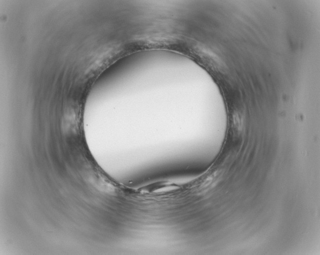 X0000088131300200705291323