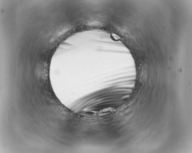 X0000088131301200705291323