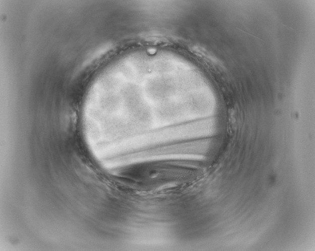 X0000088131302200705291323