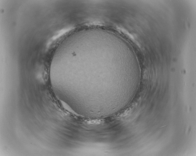 X0000088131303200705291323