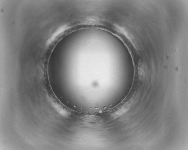 X0000088131304200705291323