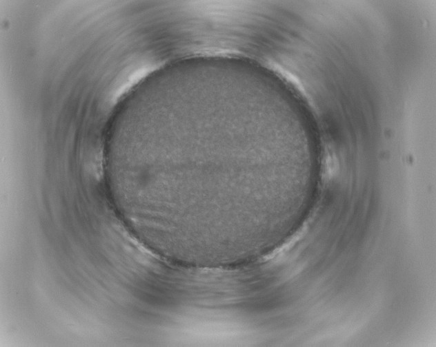 X0000088131306200705291323