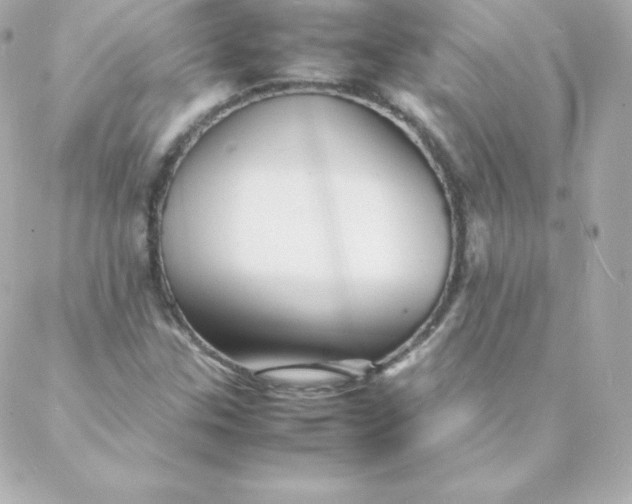 X0000088131307200705291323