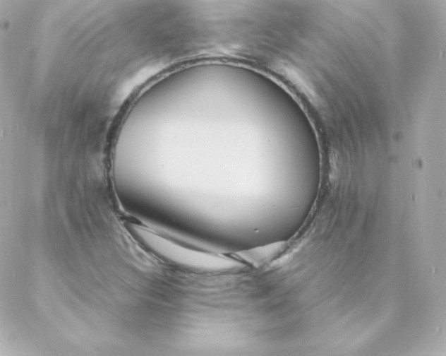 X0000088131308200705291323