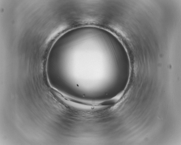 X0000088131309200705291323