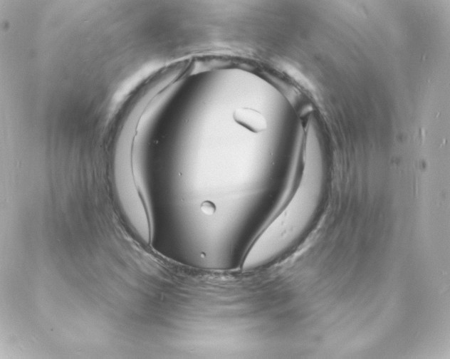 X0000088131310200705291323