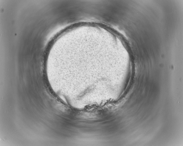 X0000088131311200705291323