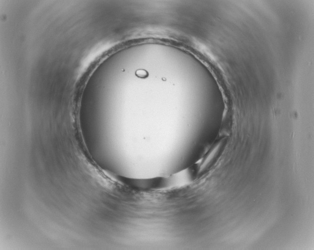 X0000088131312200705291323