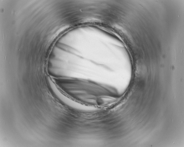 X0000088131313200705291323