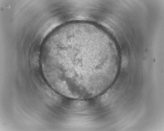 X0000088131314200705291323