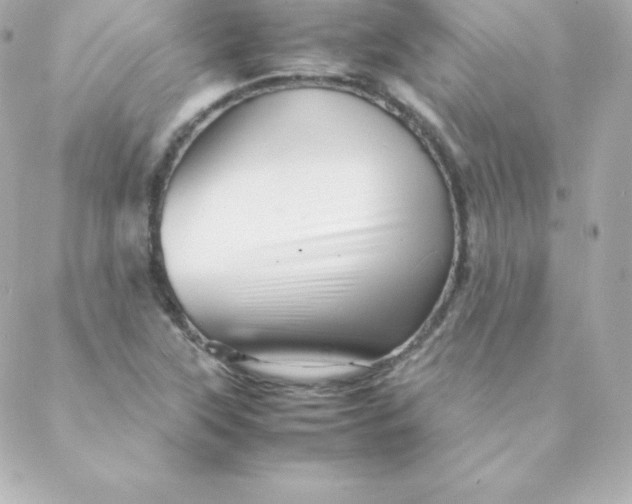 X0000088131315200705291323