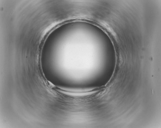 X0000088131316200705291323