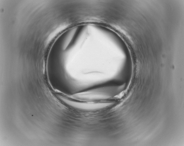 X0000088131317200705291323