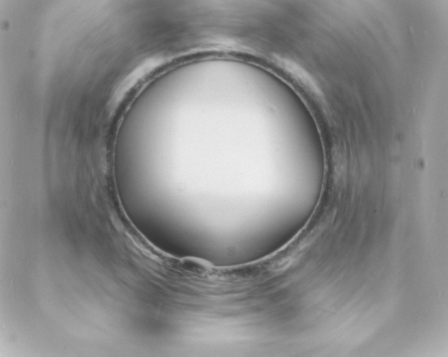 X0000088131318200705291323