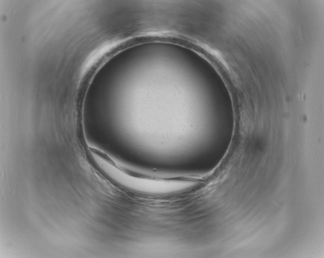 X0000088131319200705291323