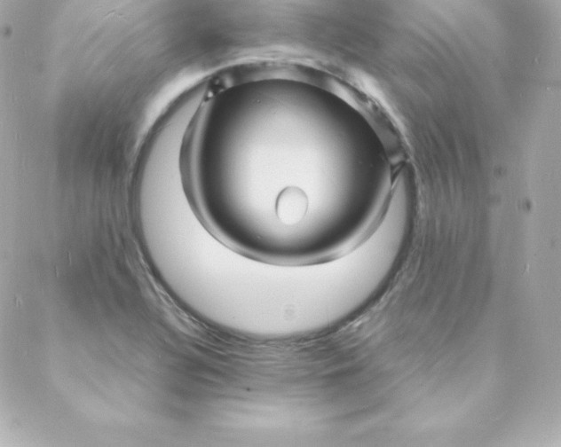 X0000088131320200705291323