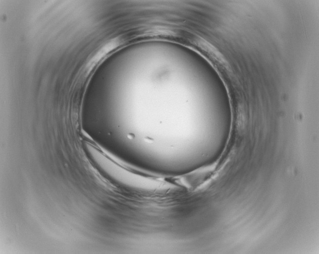 X0000088131321200705291323