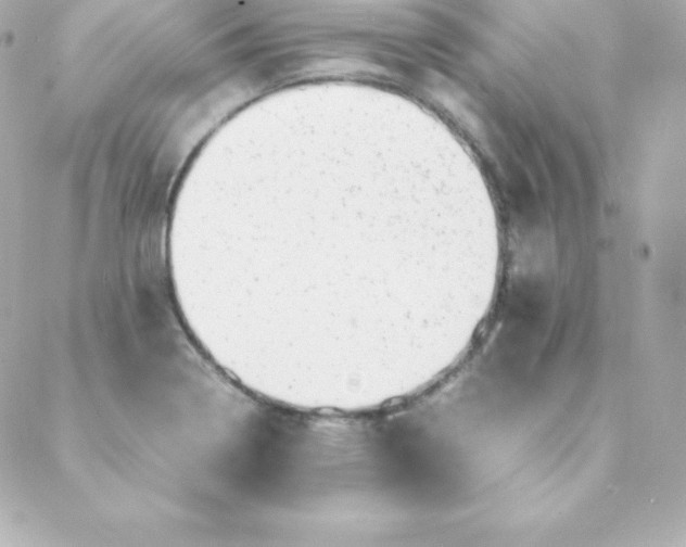 X0000088131322200705291323