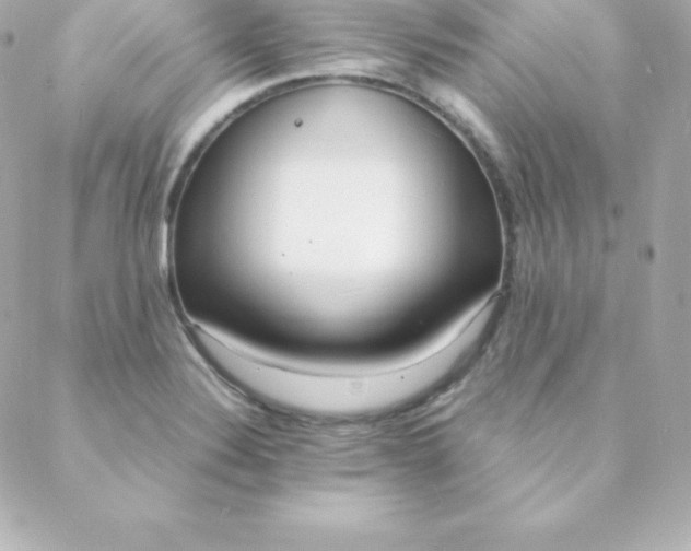 X0000088131324200705291323