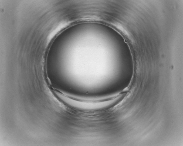 X0000088131325200705291323