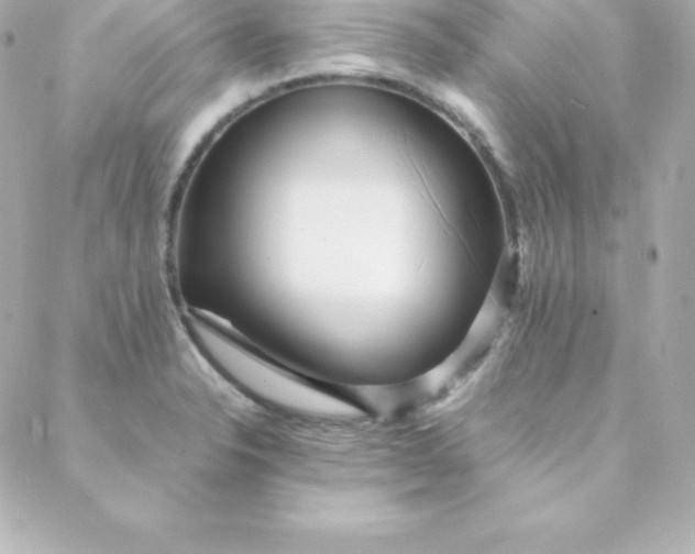 X0000088131326200705291323