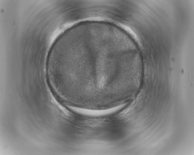 X0000088131327200705291323