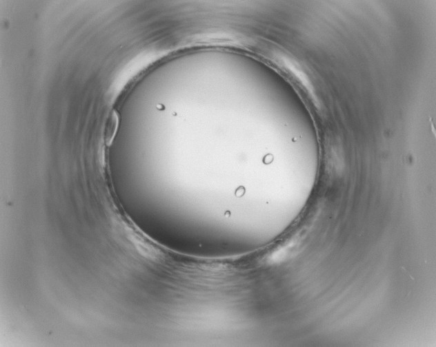 X0000088131328200705291323